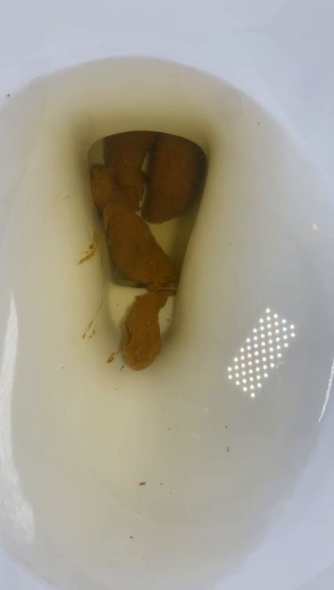 Brownsensations – Dirty tampon and long turd