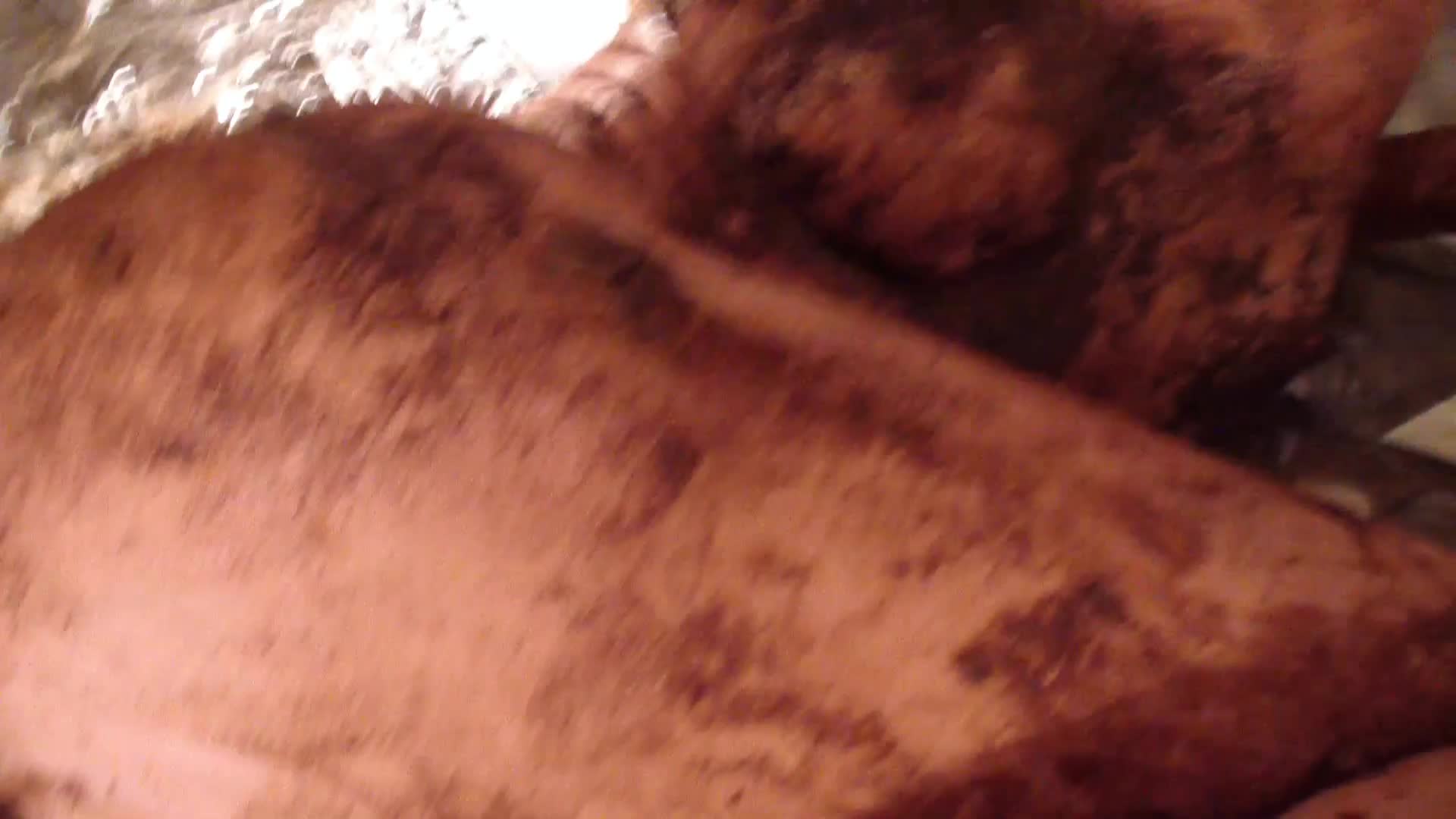 Filthy ShitLovers Complete – Matilda P3