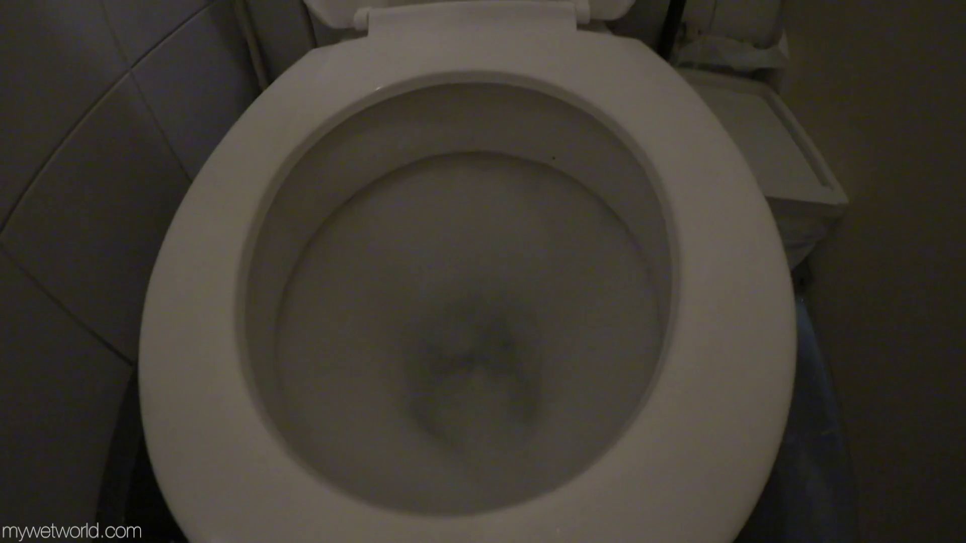 Golden Girls Faye – Voyeuristic Toilet Strip Wetting