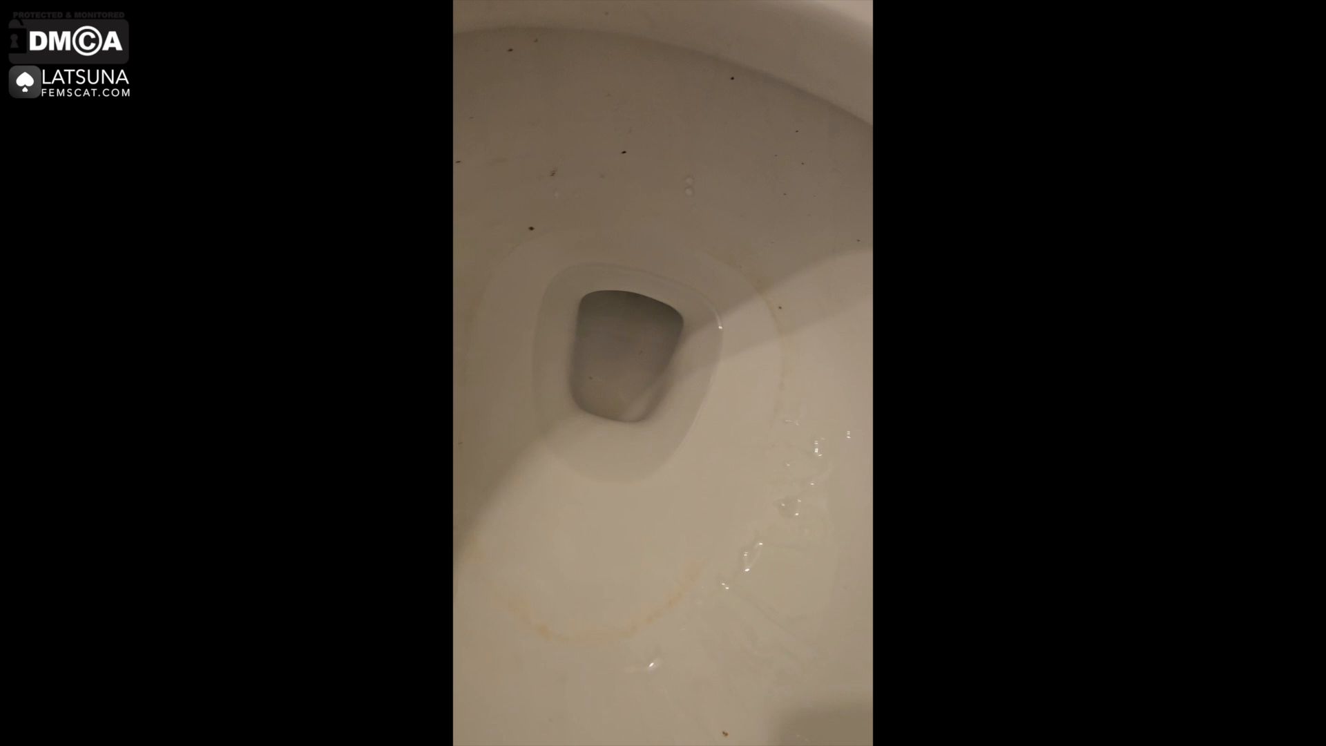 LaTsuna – Toilet Miracle