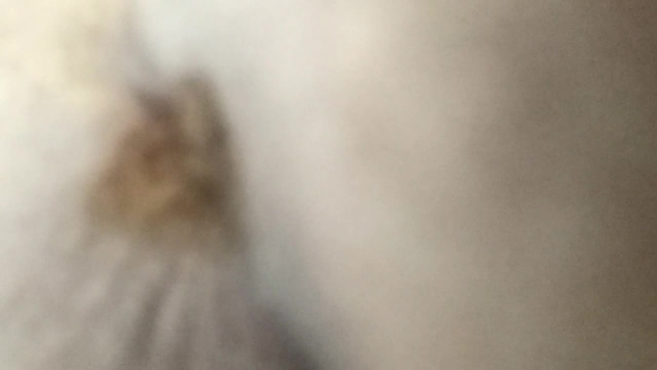 nastygirl – Face sitting and shitting