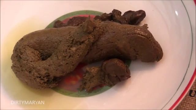 DirtyMaryan – Pooping Long snake on a plate in my kitchen