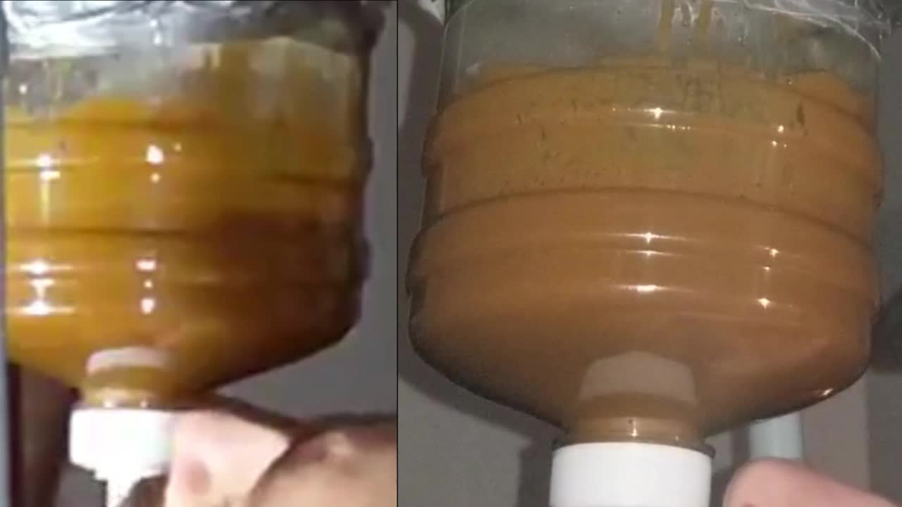 SSBBW Queen Siya – DIRECT FEED + RECORD BREAKING SPEED + CREAMY ENEMA