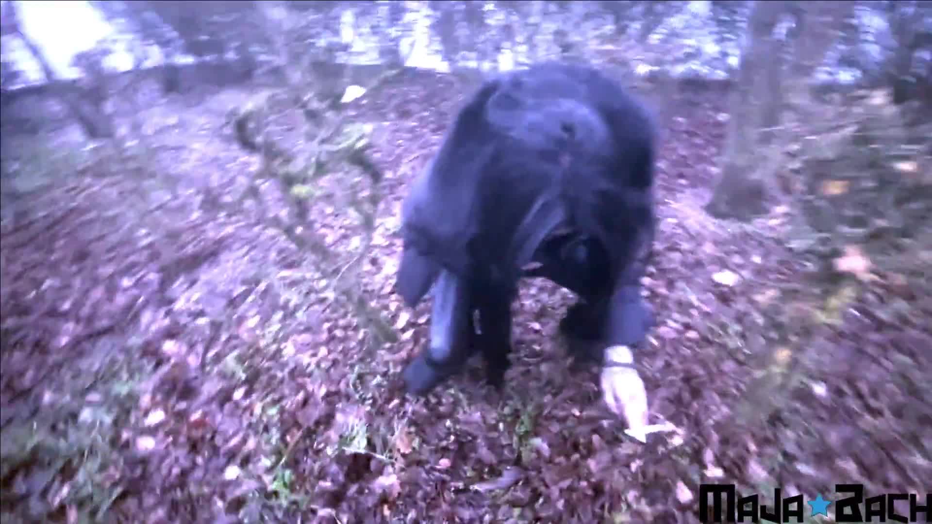 Maja-Bach – Riskanter Piss Auf Dem Rastplatz